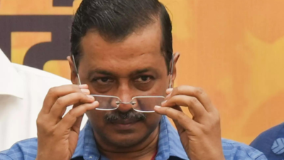 Kejriwal to focus on galvanising AAP cadre, campaigning in poll-bound states