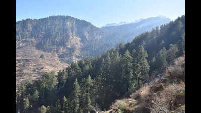 42 ‘eco labs’ in U’khand to monitor changes in forests