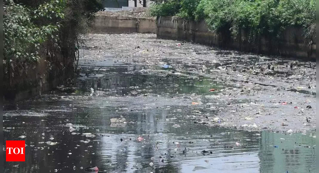 Sewage Flow into Koramangala Valley Reduced to 8 MLD, Claims BBMP Amid Ongoing Odor Complaints | Bengaluru News