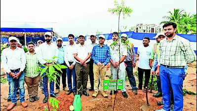 NHAI targets 50L trees in a yr in plantation drive along highways