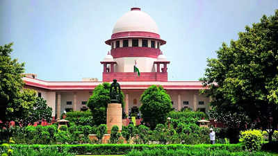 We're 'disturbed' by findings of CBI's RG Kar report: SC