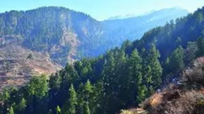 Uttarakhand sets up 42 'forest labs' to study flora