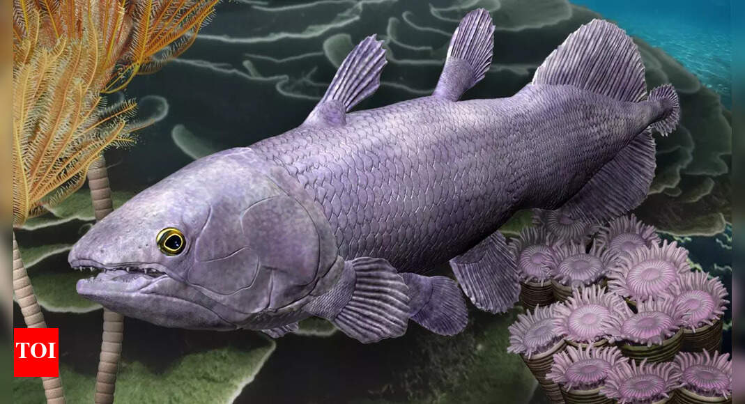 Groundbreaking discovery of the world's oldest living fossils is
