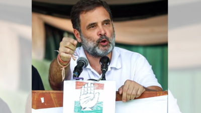 'Will restore your rights': Rahul Gandhi urges people to vote in large numbers in first phase of J&K polls