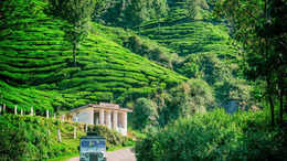 best bike for road trip to ladakh