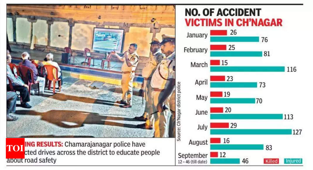 Global Efforts to Enhance Road Safety