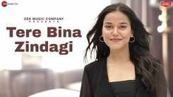 Enjoy the Hit Song  Tere Bina Zindagi in Hindi - Watch the Music Video