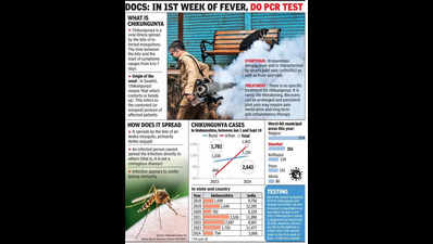 Chikungunya: ICU admissions up amidst rising cases in kids