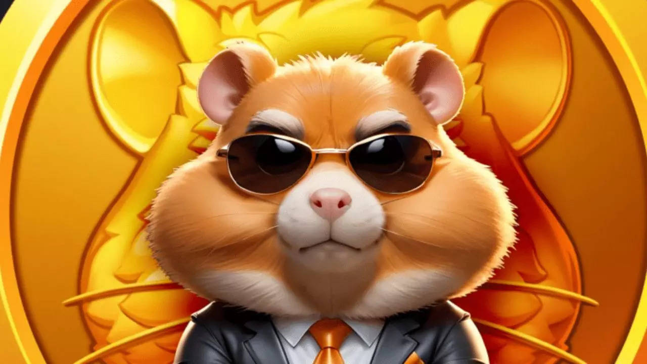 Hamster Kombat Daily Cipher Codes and Combo Cards for September 19, 2024:  Unlock up to 1 million coins | - Times of India