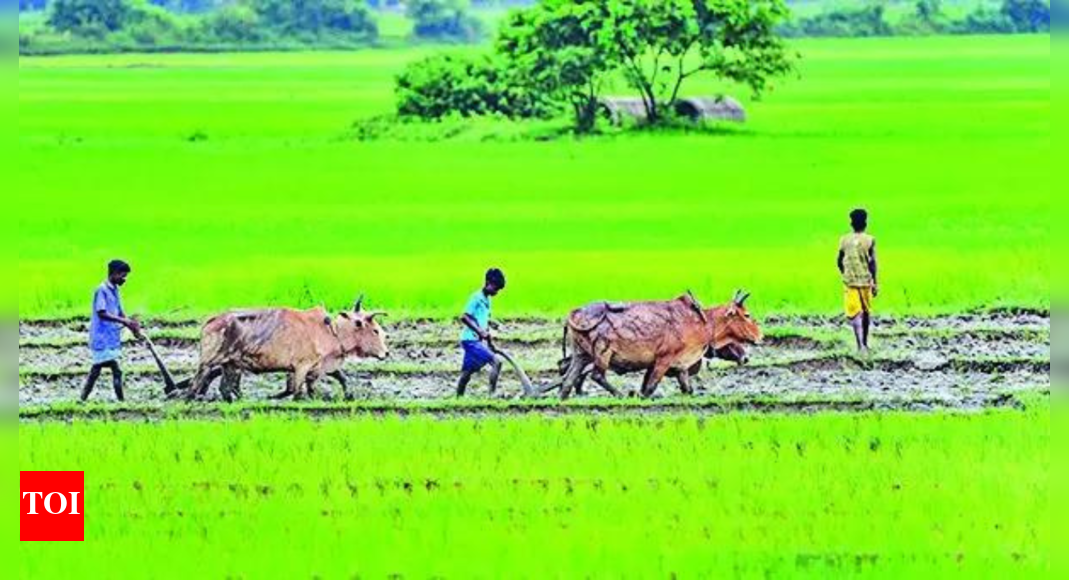 政府は農家の収入を増やすため3500億ルピーの計画を延長 | インドニュース