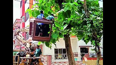 Kolkata Tree Pruning: Pre-puja Tree Pruning In Kolkata, Salt Lake ...