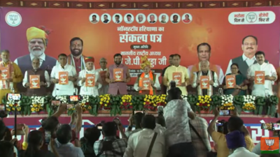 'Cash for women, MSP for farmers': BJP releases manifesto for Haryana polls