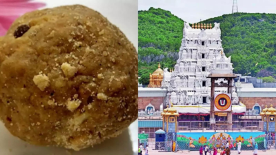 Tirupati laddu row: Lab reports confirm lard, tallow in ghee supplied to Tirumala | India News - Times of India