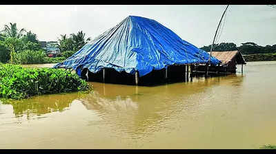 Floods affect 35k people in 5 blocks of Balasore