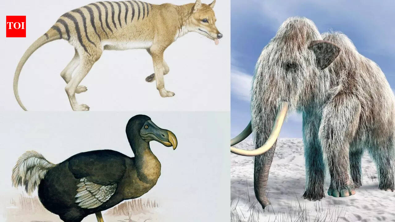Extinct Animals That Are Coming Back