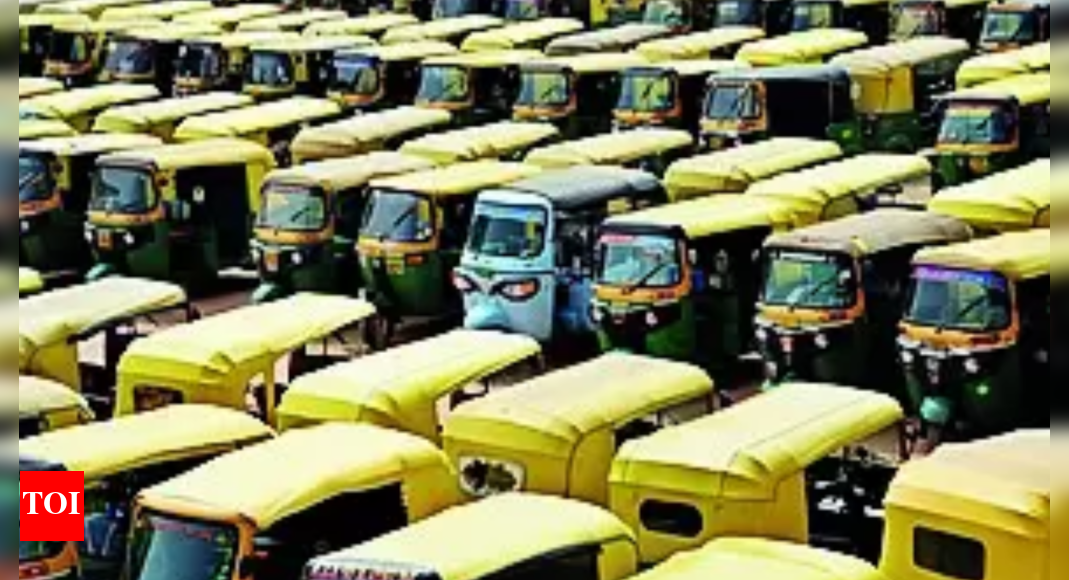 TN Metre Auto: Chennai Auto Drivers Launch New App After Devastating ...