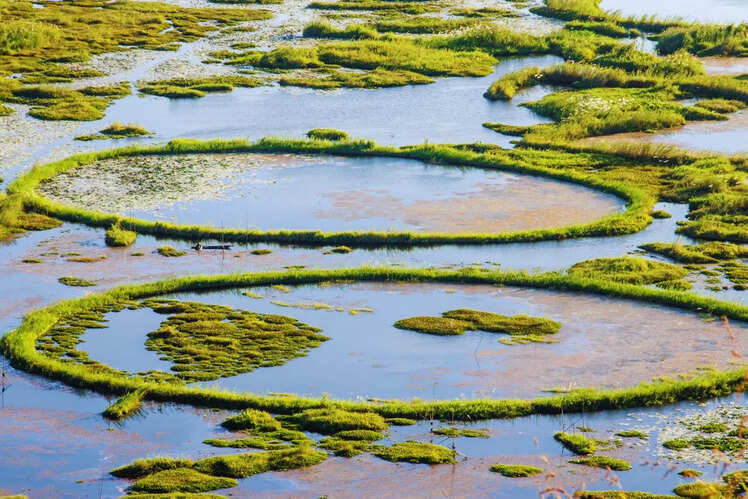 Loktak Lake, Manipur
