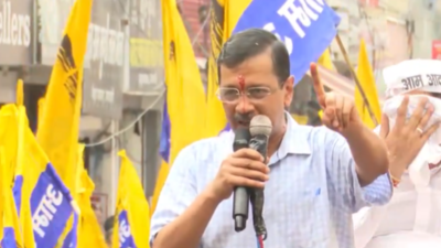 'Government will not form without ...': AAP chief Arvind Kejriwal's big claim on Haryana elections