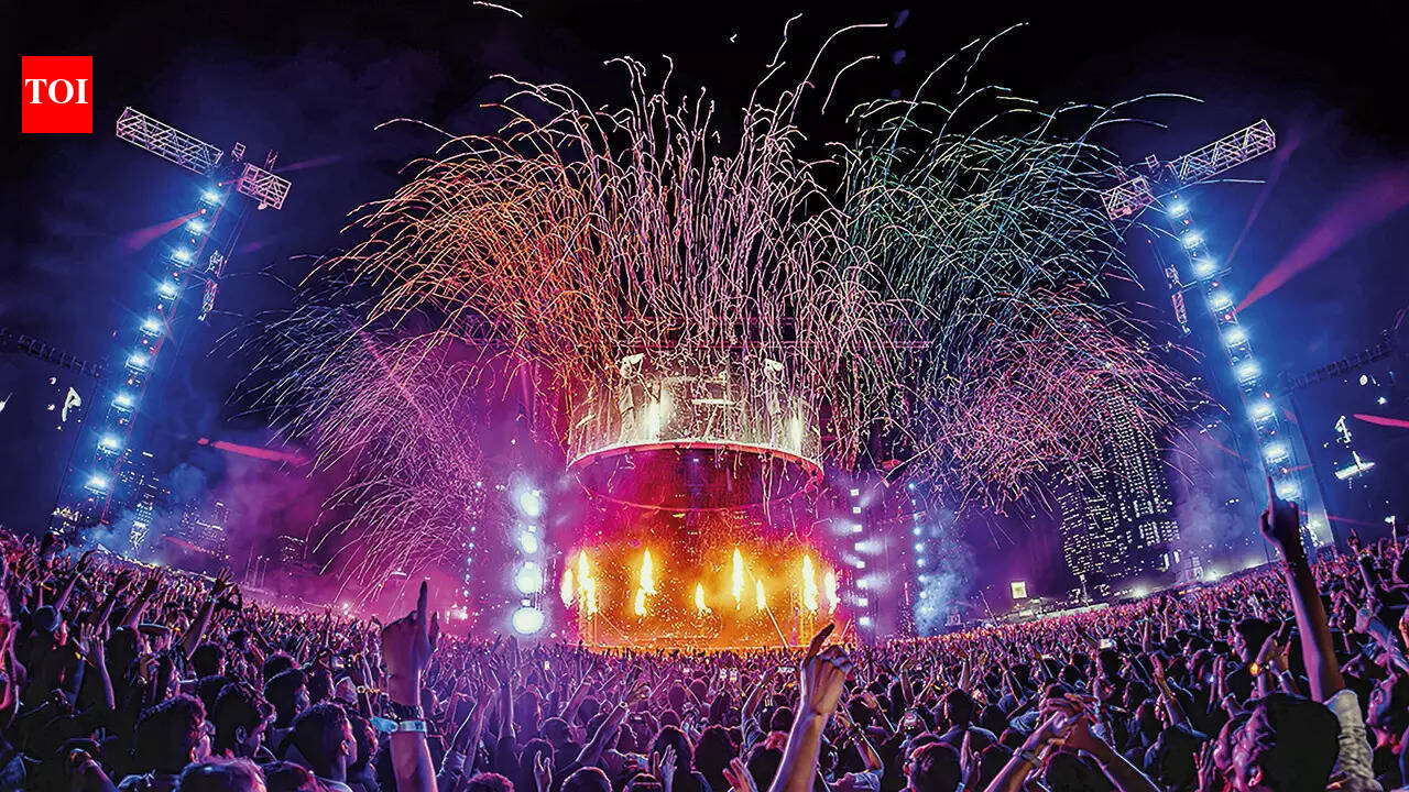 Artiste's popularity, venue, demand: Decoding concert ticket pricing ...