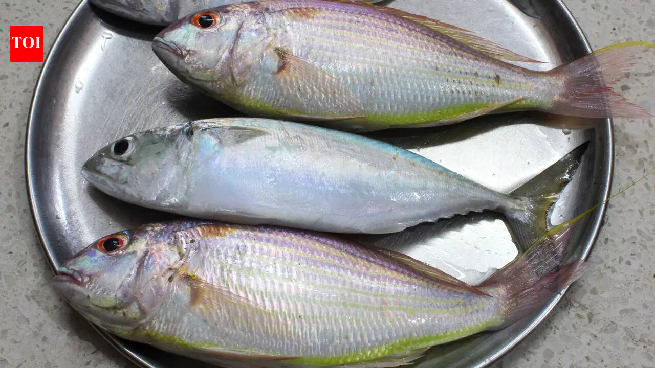 Bihar Chaos: Crowd Loots Fish After Nitish Kumar's Event | - The Times ...