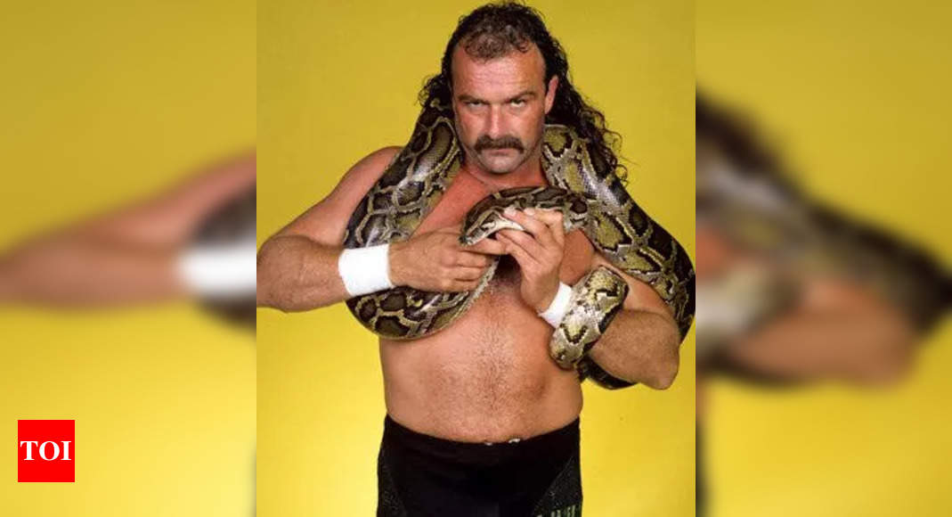 Jake Roberts Reflects on Ultimate Warrior Fight