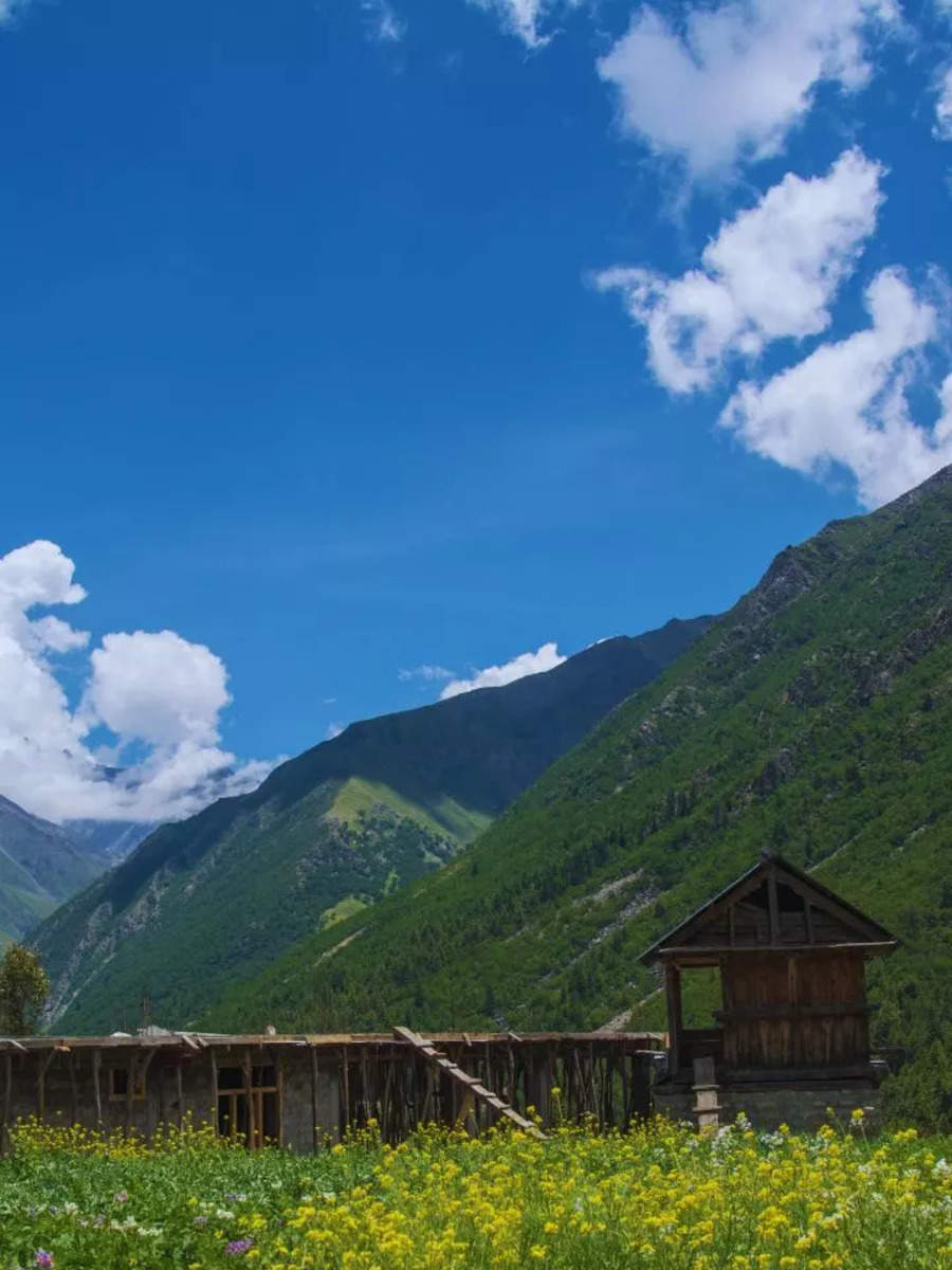 Tourists in Kashmir