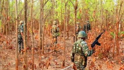 Chhattisgarh: Eight Naxalites surrender in Bijapur