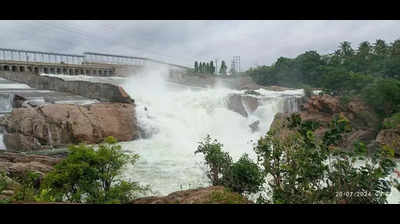 Cauvery Aarti proposed to be part of Dasara