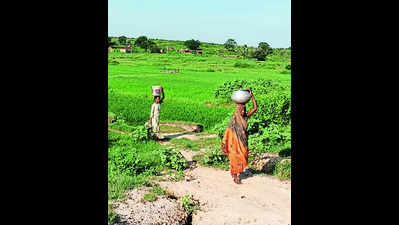 Bihar’s village on Centre’s tourism list despite lack of basic amenities