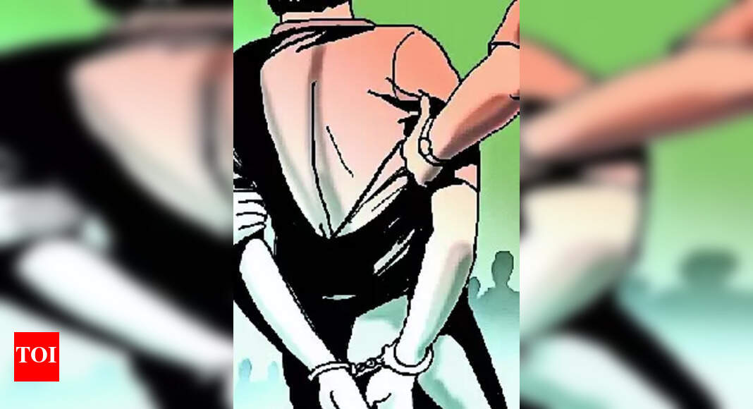 Dhing Gang Rape: 2 Held In Dhing Gang Rape Case | Guwahati News - Times ...