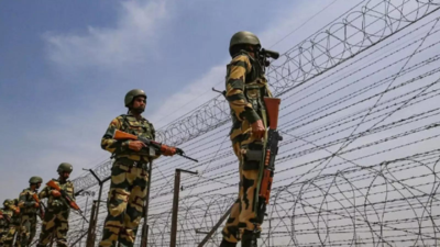 Pakistani intruder arrested by Indian Army at Line of Control