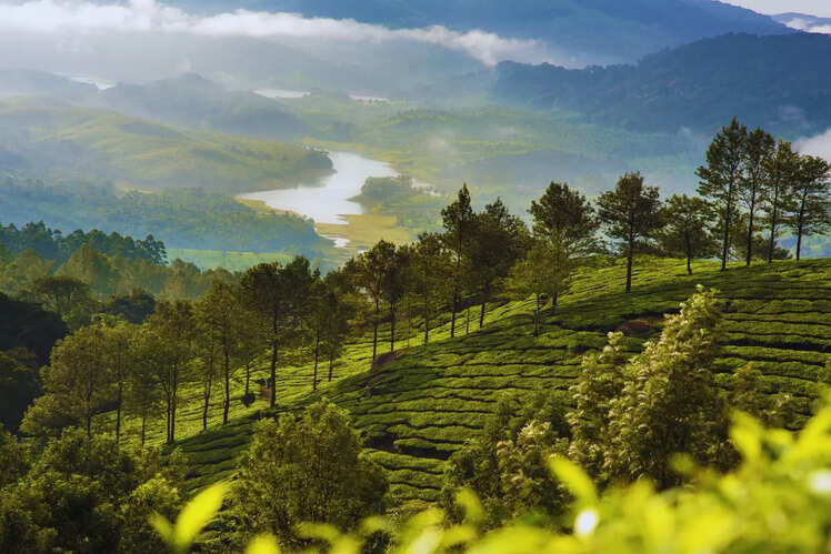 Munnar