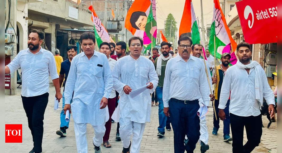 Congress Party: OBC outreach: Congress eyes OBC votes in Haryana ...