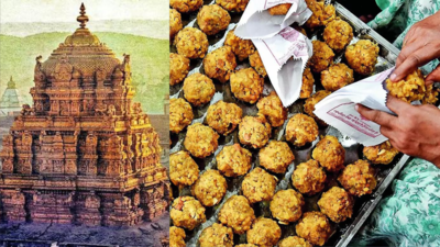 After laddu row, AP sets up SIT to probe Tirupati 'irregularities'