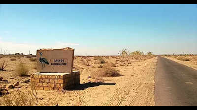 HC intervenes in Jaisalmer sanctuary boundary row