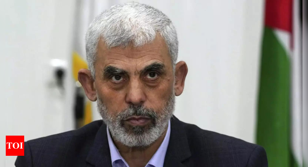 Is Yahya Sinwar alive? Unsure Israel probes Hamas leader’s death – Times of India