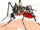 Dengue stings 21 in Lucknow within past 24 hours, doctors advise caution