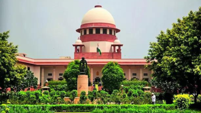 Watching, downloading child pornography are offences under POCSO Act: SC