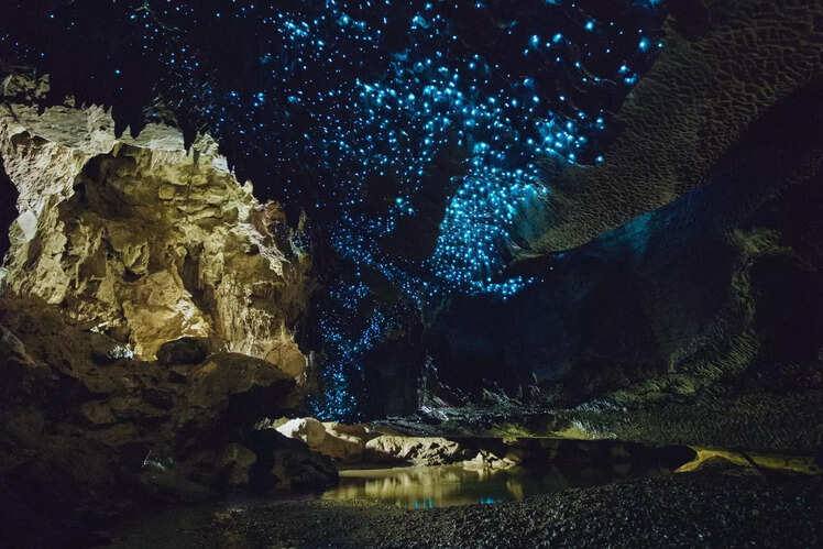 Waitomo Glowworm Caves &ndash; New Zealand