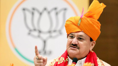 'Infiltrators grabbing land under JMM rule’: JP Nadda rips into Hemant Soren's party in Jharkhand