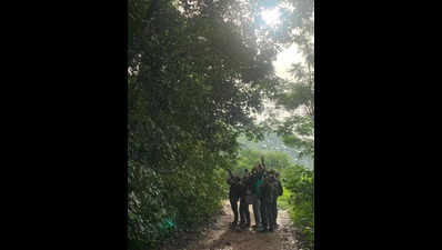 Bird species decline in Manipal amid habitat loss