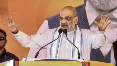 Bangladesh lodges official protest over Amit Shah's 'hang infiltrators upside down' remark