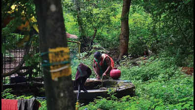 Contempt plea in HC over forest dwellers’ rights