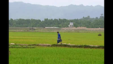 Bengal raises paddy MSP by ₹117 to ₹2,300/quintal