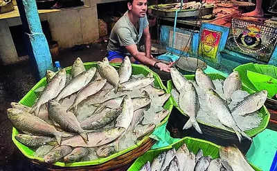 Hilsa for India not a gift, it's an export: Bangladesh