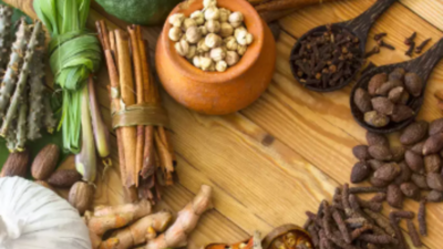 APPG pushes for Ayurveda integration in UK’s healthcare system