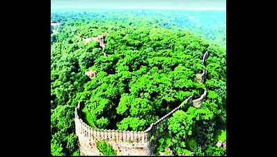 1L trees to face axe for pvt power project in Rajasthan's Baran district