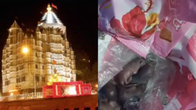 Mice found on prasad packets at Mumbai's Siddhivinayak Temple; probe launched