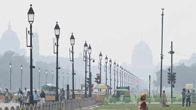 Haze blankets Delhi skies as stubble burning season begins in 'neighbourhood'