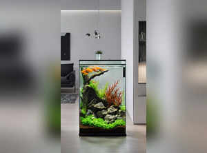 Why keeping a ‘Fish aquarium’ is a blessing